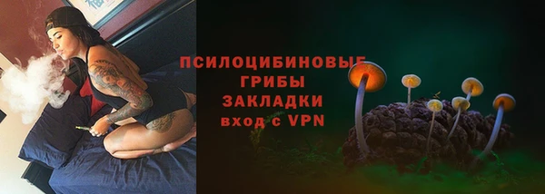 круглые Алексеевка