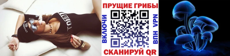 Галлюциногенные грибы MAGIC MUSHROOMS  Гдов 